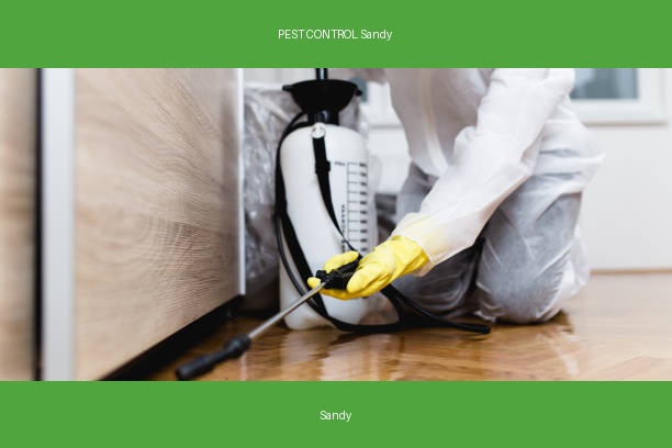 PEST CONTROL Sandy